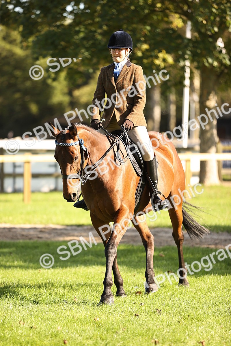 SBM_16937 - S2 - TSR Ridden Pony Showing