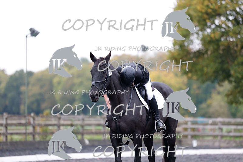 _R6A1161 - Intro 4