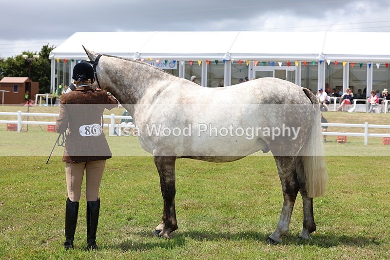 3E7A2150 - Class 10: Open Cob