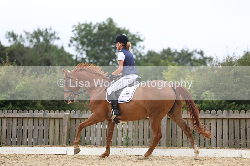 3E7A7219 - Class 9: Elementary 4 2024 - No sections