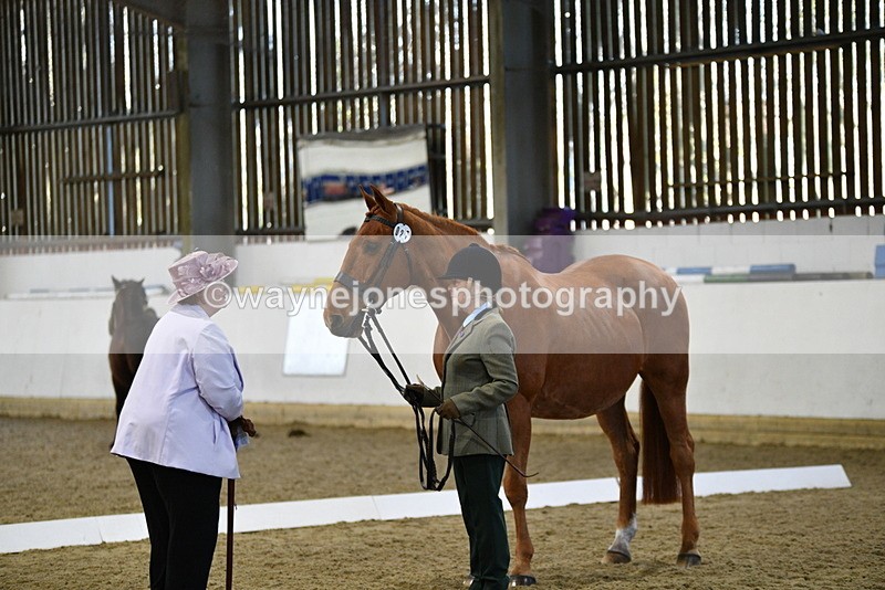 WJ5_3607 - Class 5 In Hand Veterans