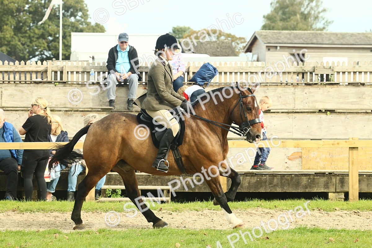 SBM_69344 - S58 - Mini Show Cob Ridden