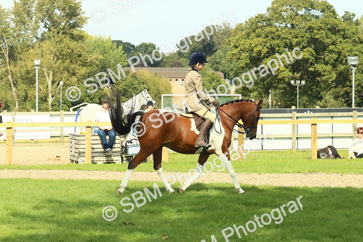 SBM_67483 - S56 - Coloured Pony Ridden