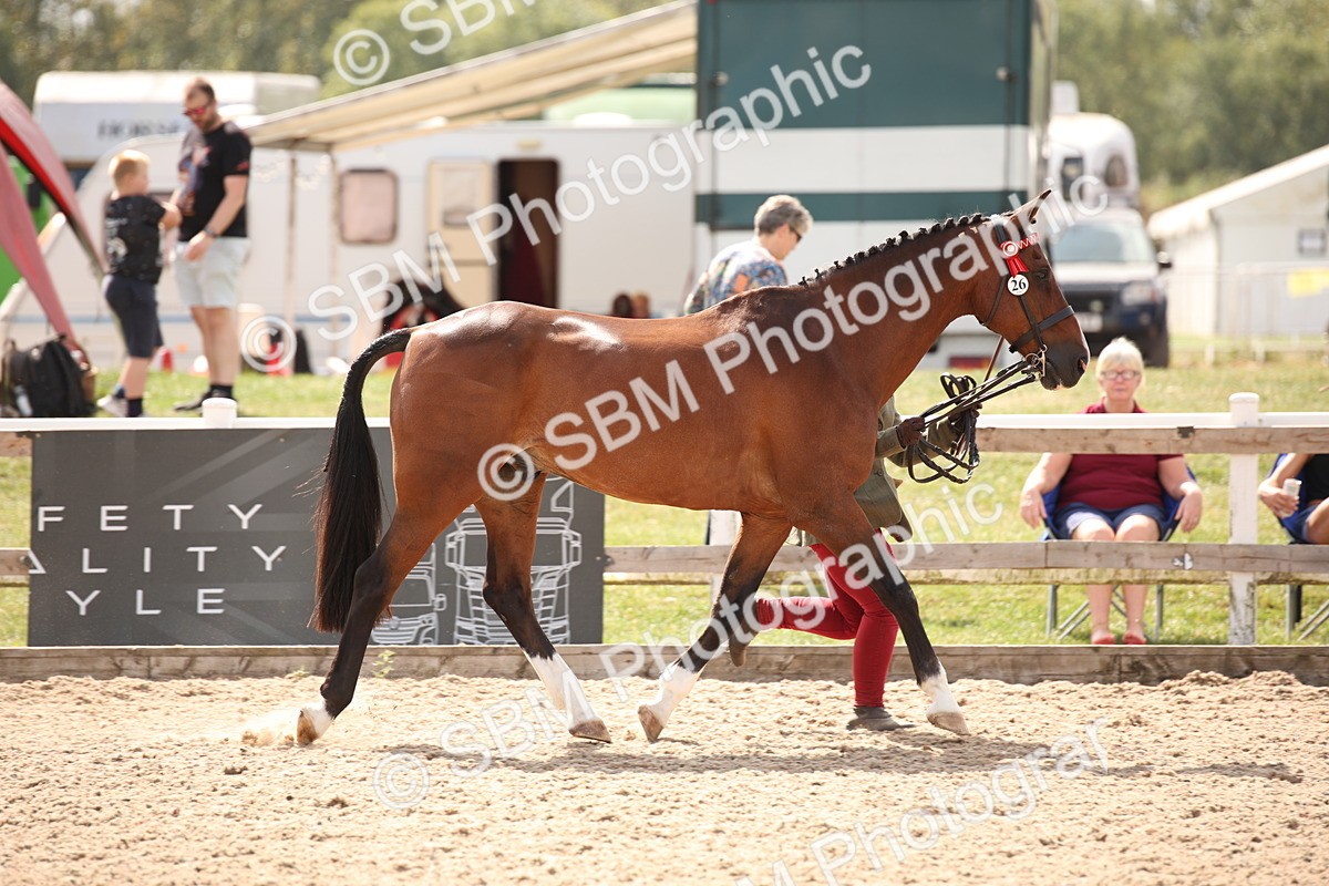 SBM_04540 - Class 20 IH Veteran