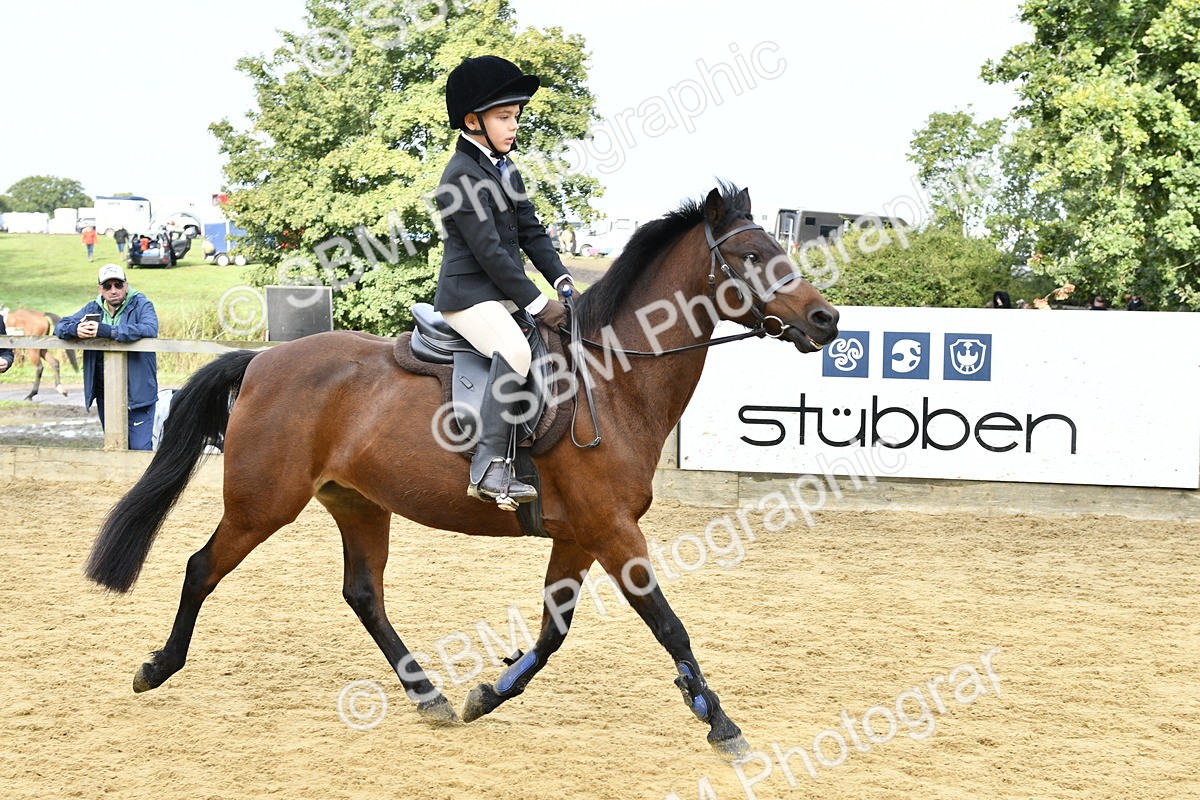 SBM_57147 - J61 - Mini Clear Round 30cm & 40cm