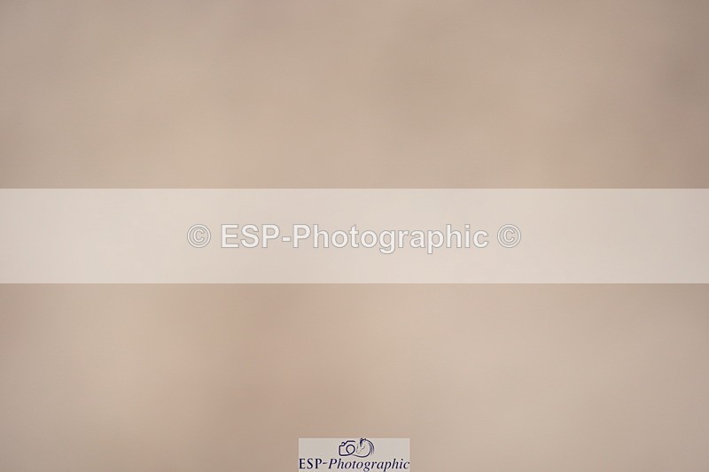 230924A-120446-04706 - 100 SJ 12.00 to End