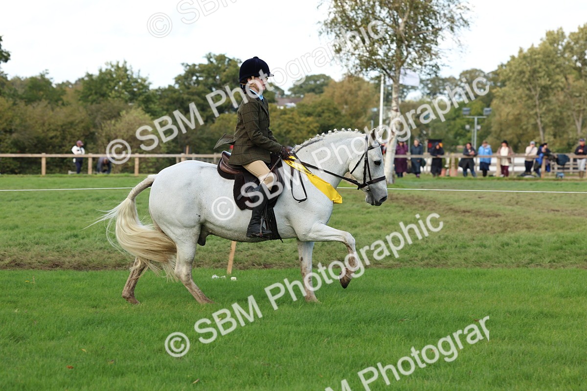 SBM_46345 - Working Hunter Pony Supreme Championship
