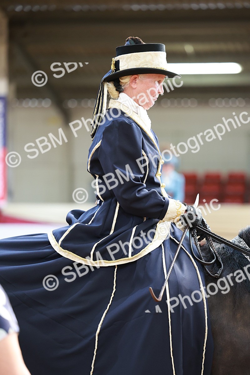 SBM_13717 - Class 106 - Ridden Costume -Astride Adult (15-19)