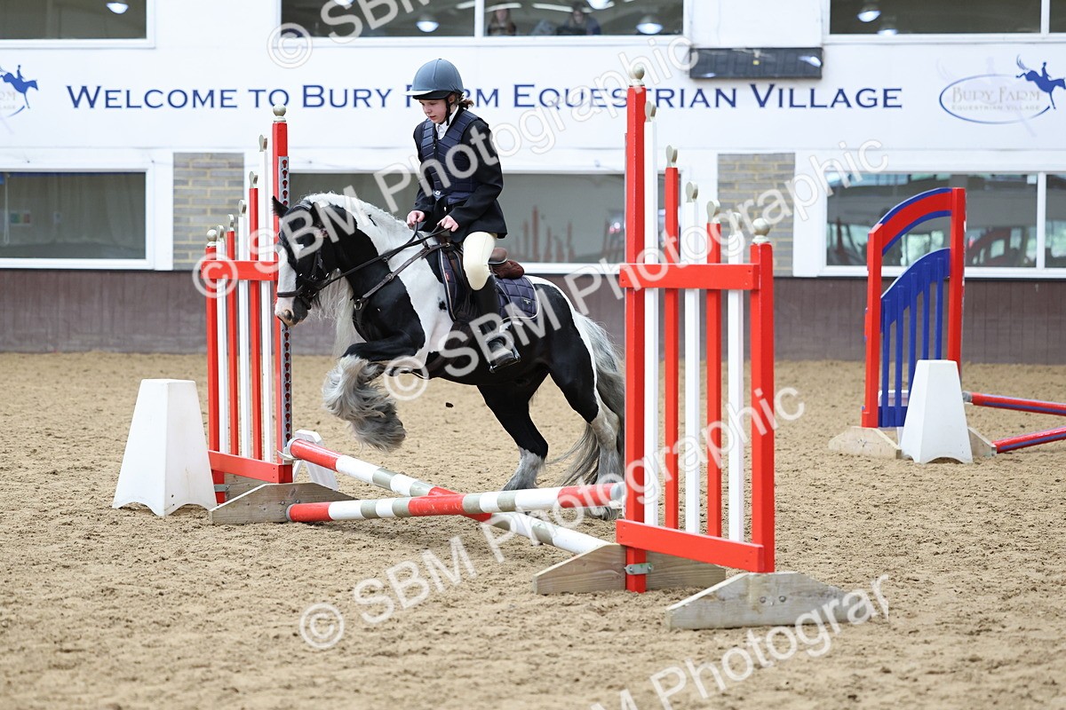 SBM_006966 - Class 1 - 40cm showjumping