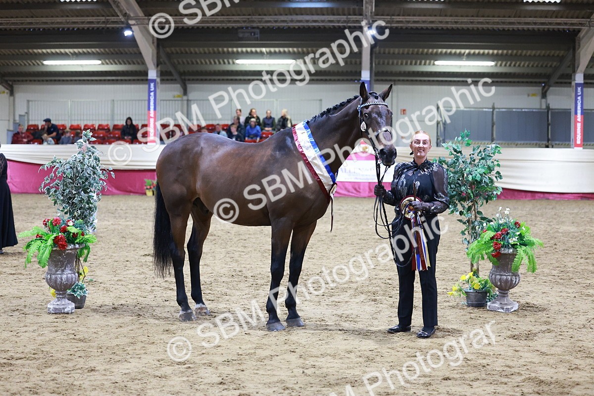SBM_20645 - Class I - Ridden Pony Champ