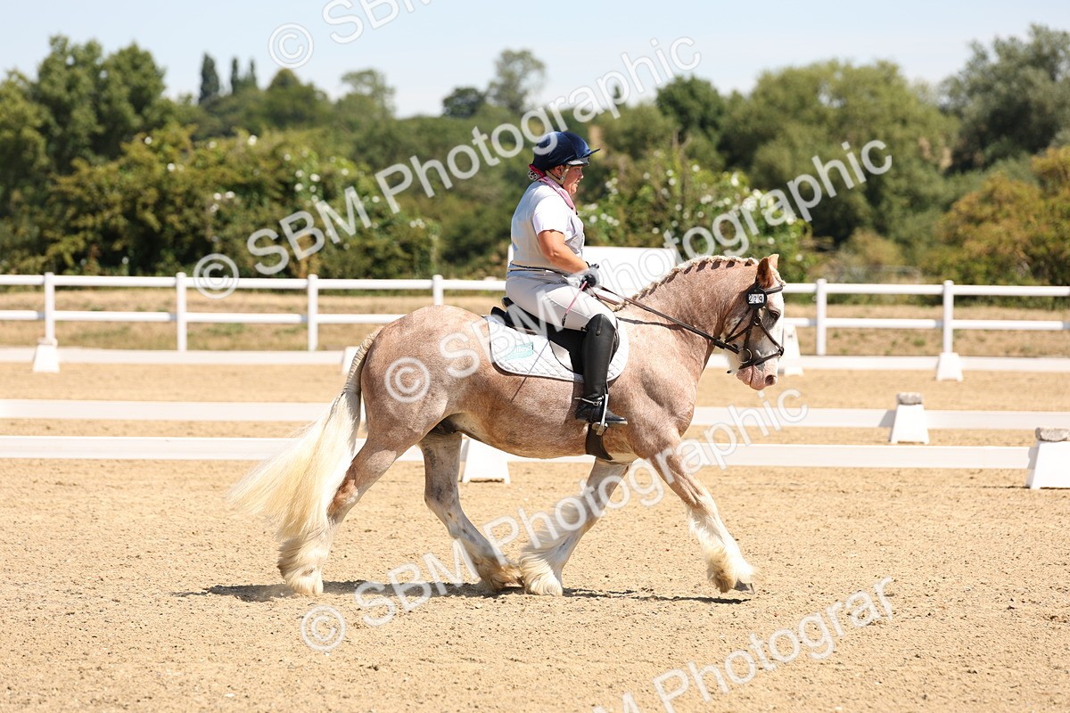 SBM_001274 - Intro 2