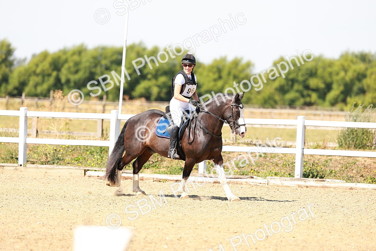 SBM_000943 - AE - 60cm