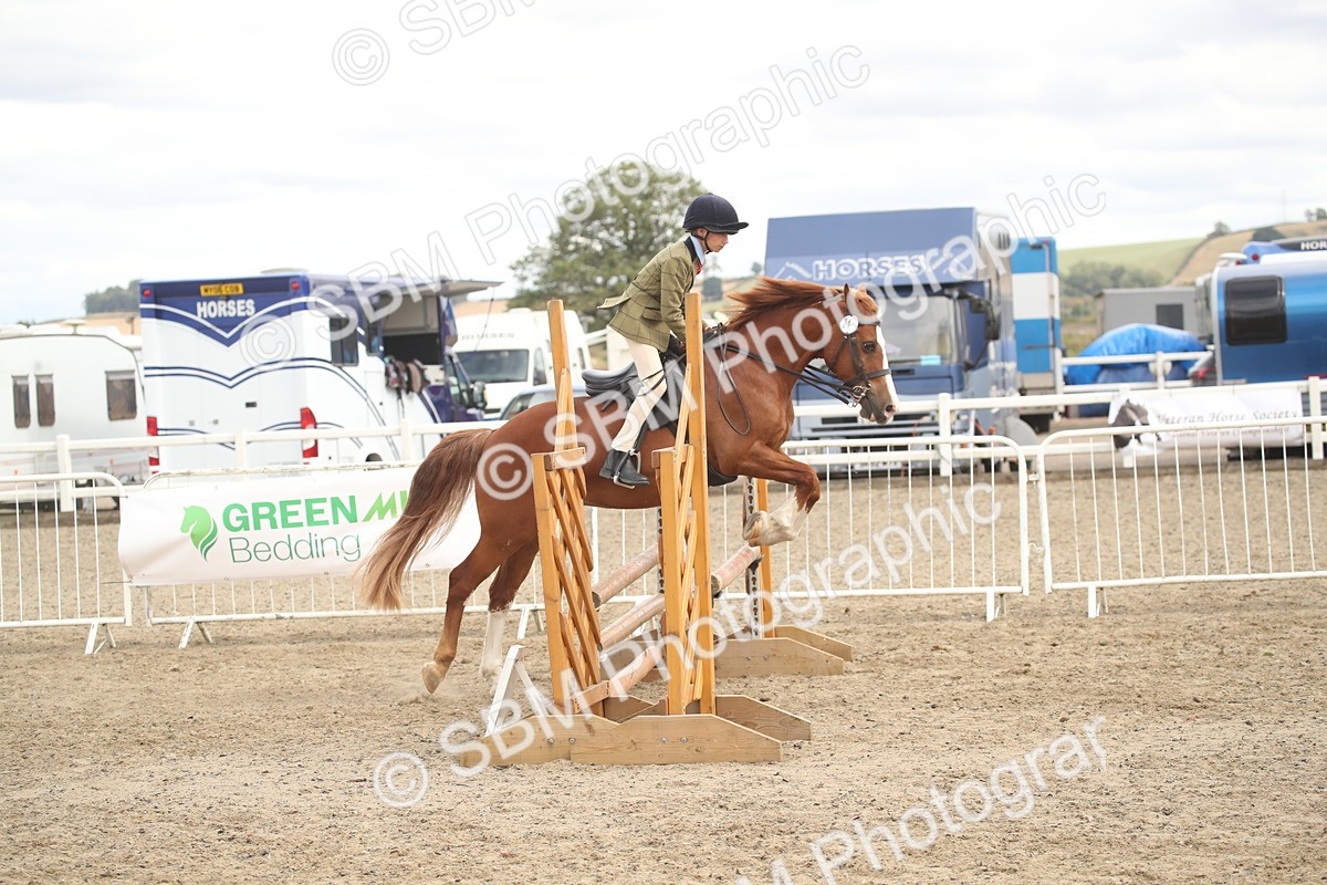 SBM_17886 - Class 508b - Working Veteran 70cm (20+)