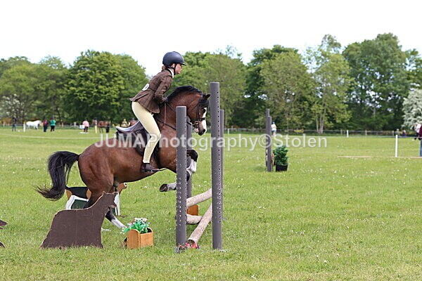 IMG_2878 - Working Hunter