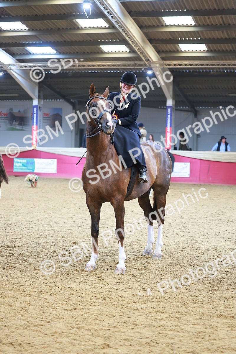 SBM_12688 - Class 103 - HOYS Veteran Qualifier - Ridden Pre Vet