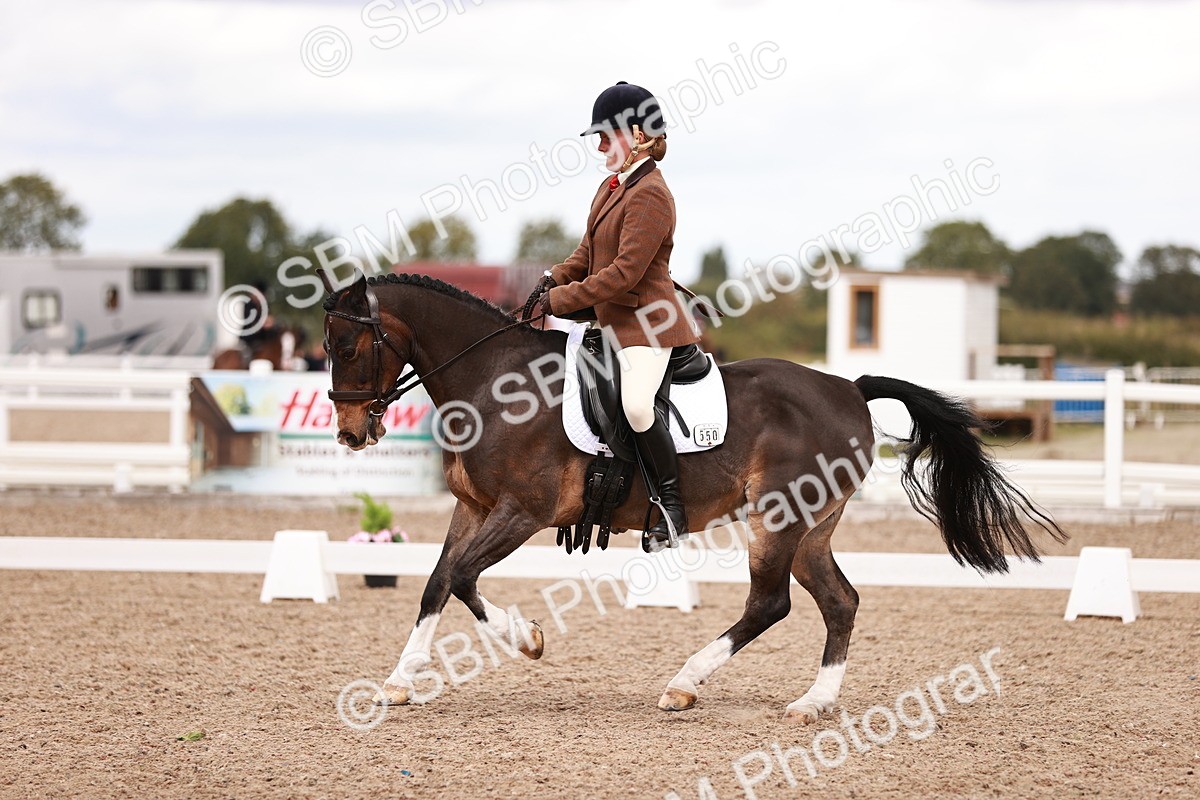 SBM_06247 - Class 37 - Novice 5