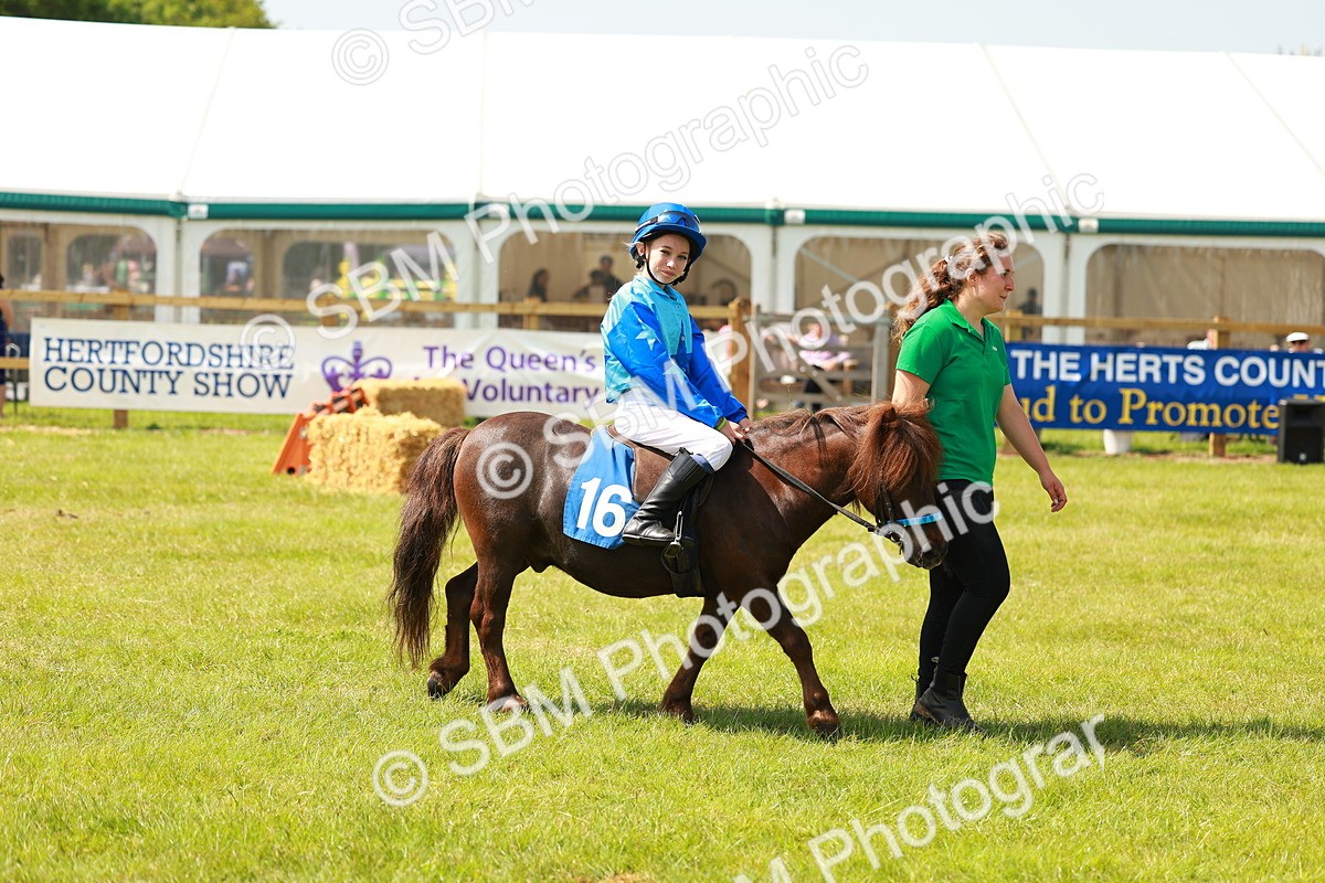 SBM_04761 - Shetland Grand National