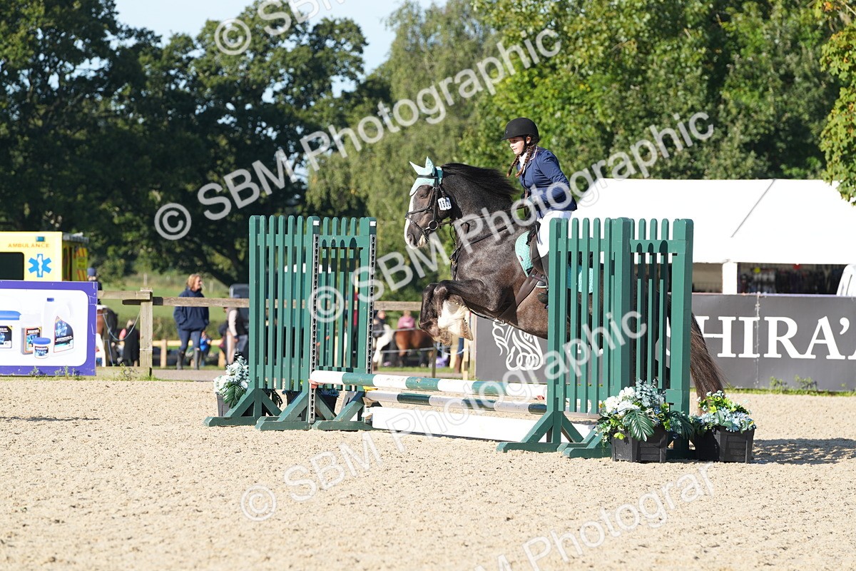 SBM_34453 - J62 - Clear Round 50cm