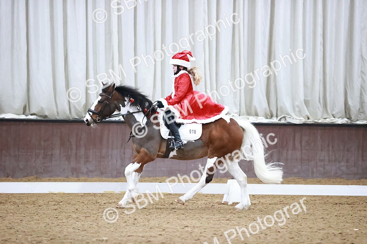 SBM_000219 - Class 1-4 - Intro - Prelim 1