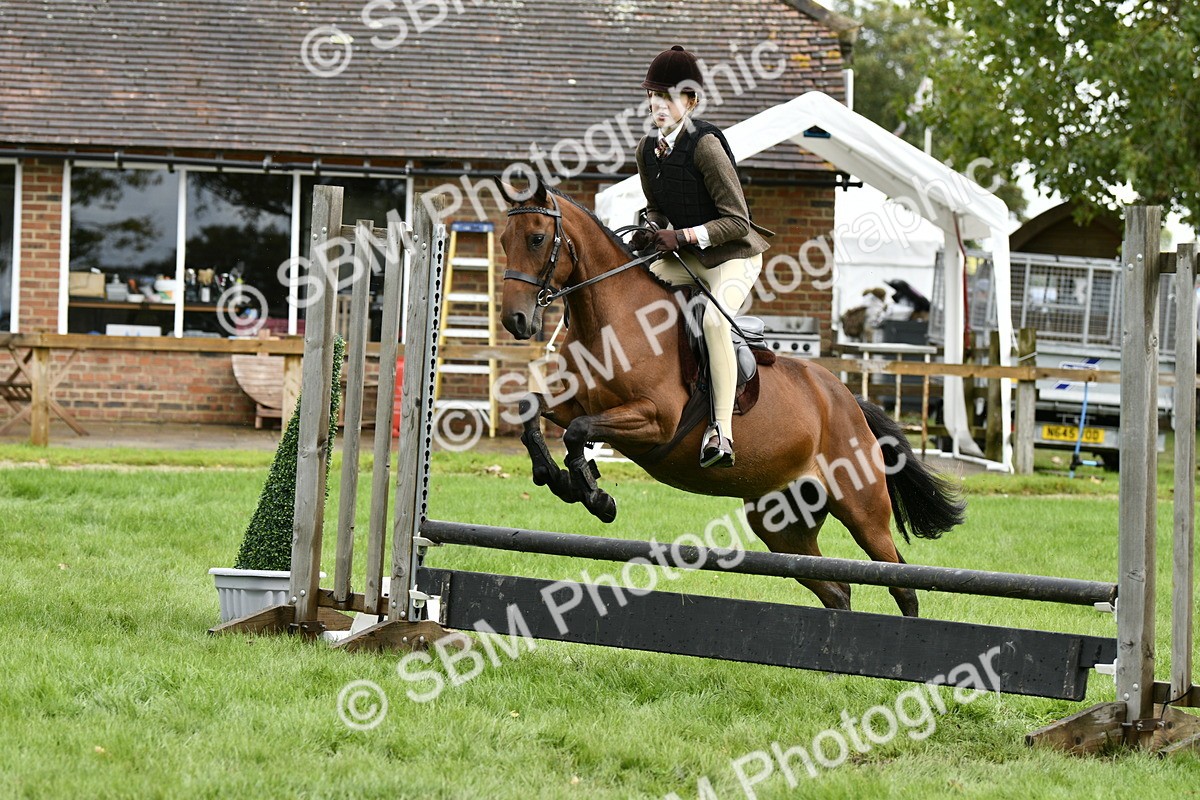SBM_45606 - S33 - Working Hunter Pony