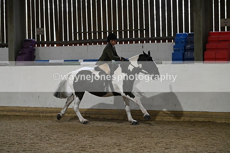 WJ7_4077 - Class 17 Ridden Cob