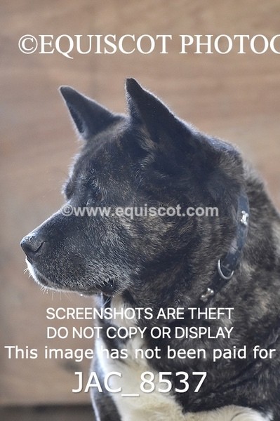 JAC_8537 - CLASS 9 LARGE OPEN 1M