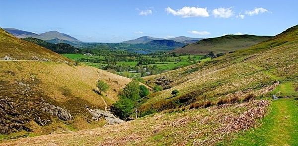 panoll0017 - Panoramas