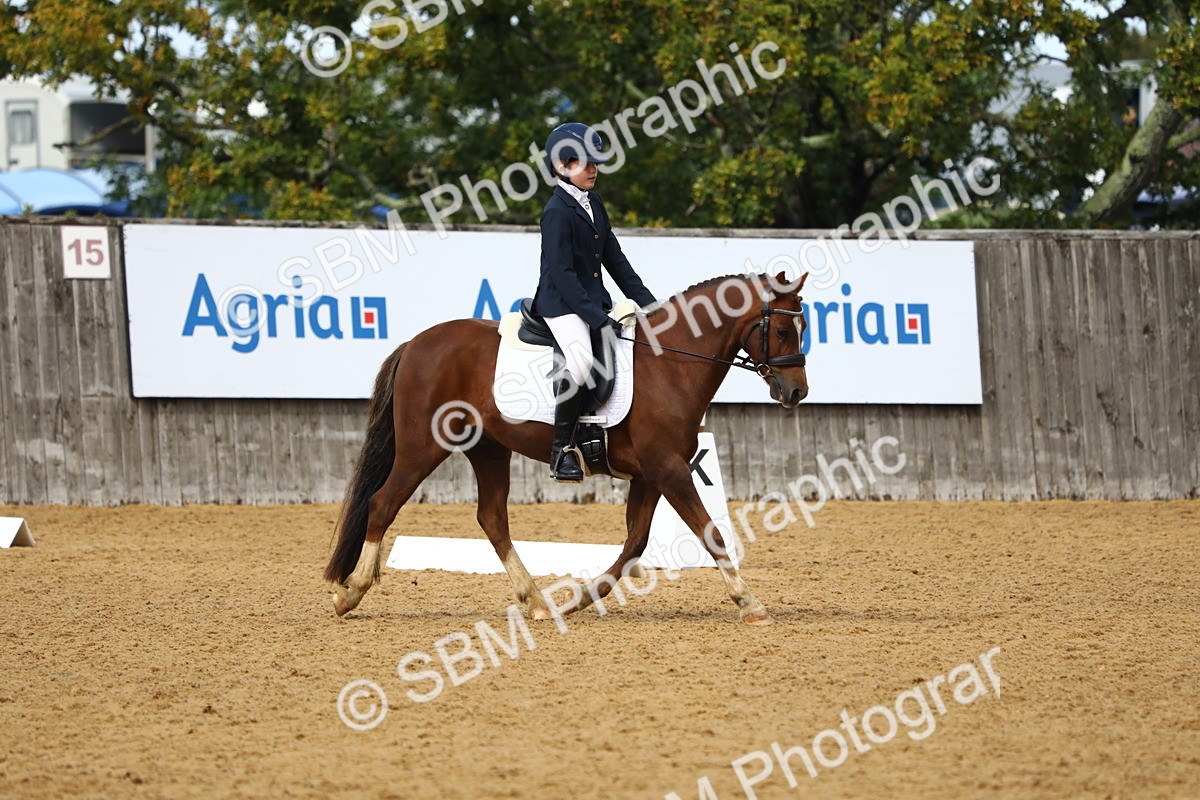 SBM_42663 - D21 - Junior Championship Intro 1