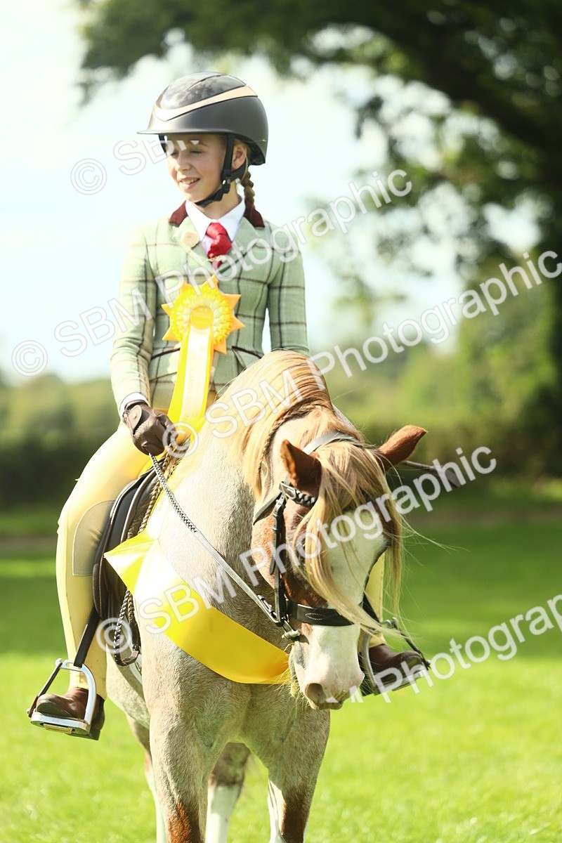 SBM_44965 - Working Hunter Pony Supreme Championship