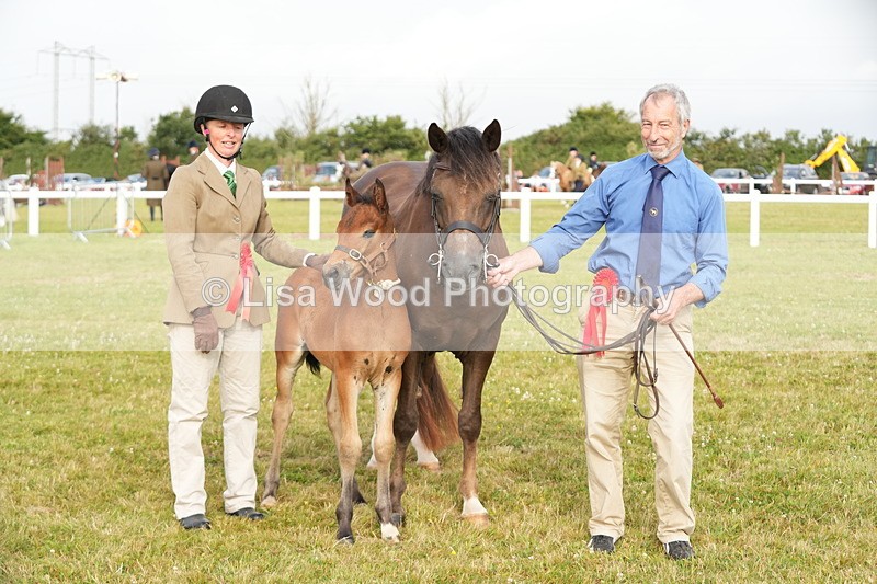 DSC04473 - Classes 44 & 45: NPS M&M Brood Mare and Foal