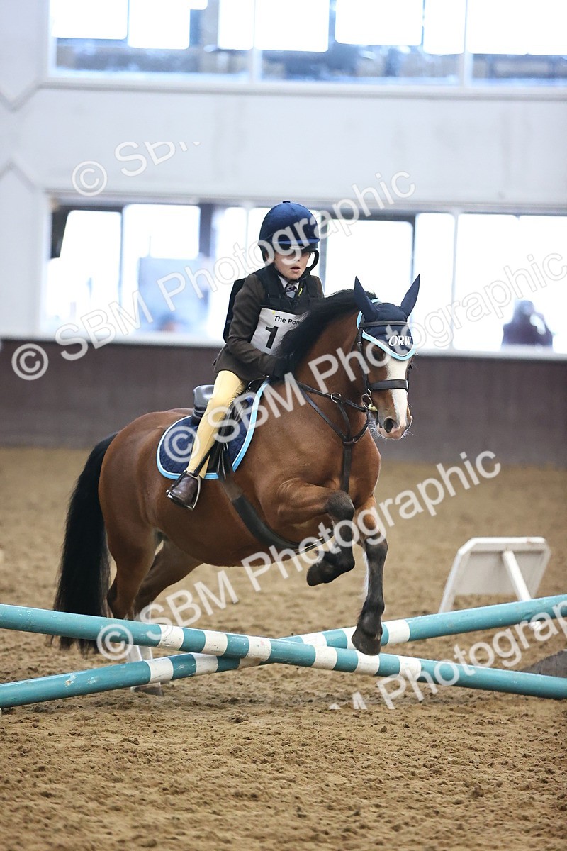 SBM_000259 - Class 2 - The Rug Lady 40cm Area 12 Championship Qualifier