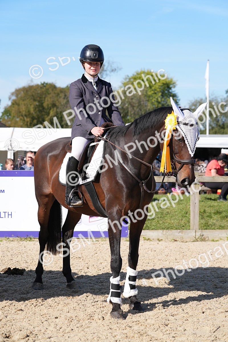 SBM_36244 - J 20 - Junior Horse 50cm Championship