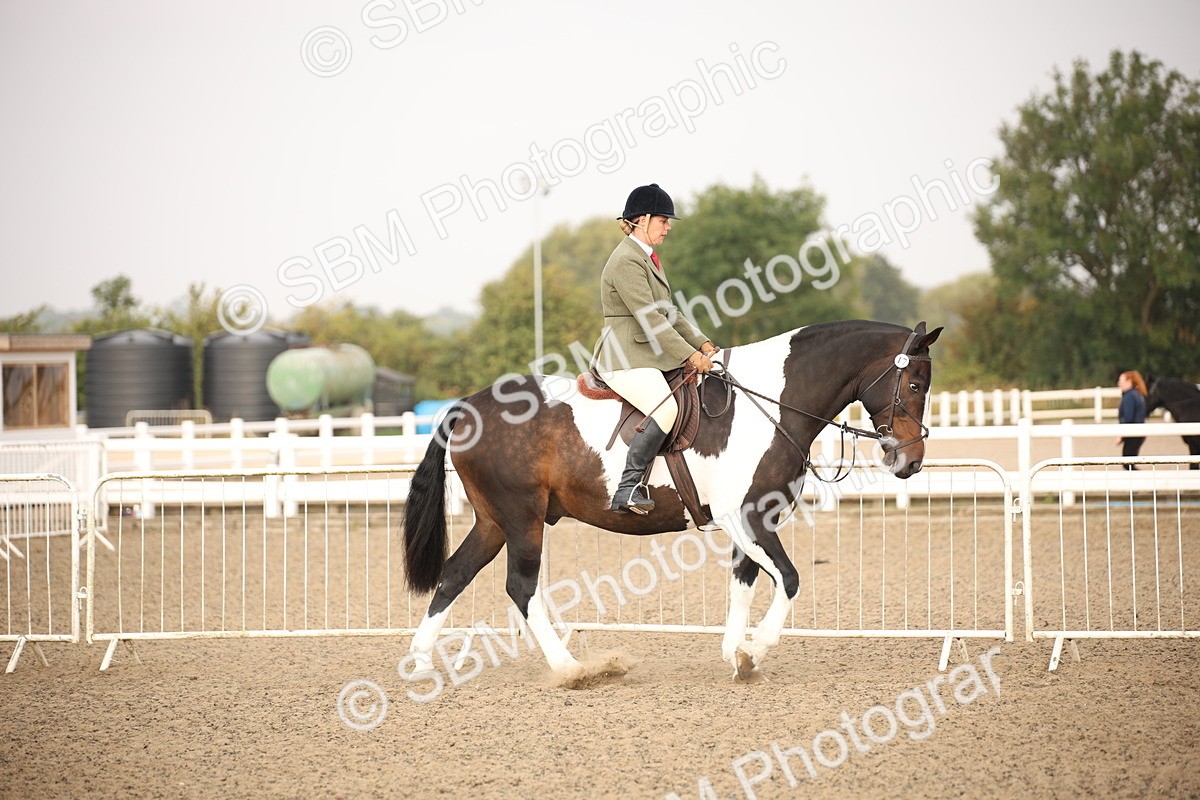 SBM_10191 - Class 402 Riding Club Horse