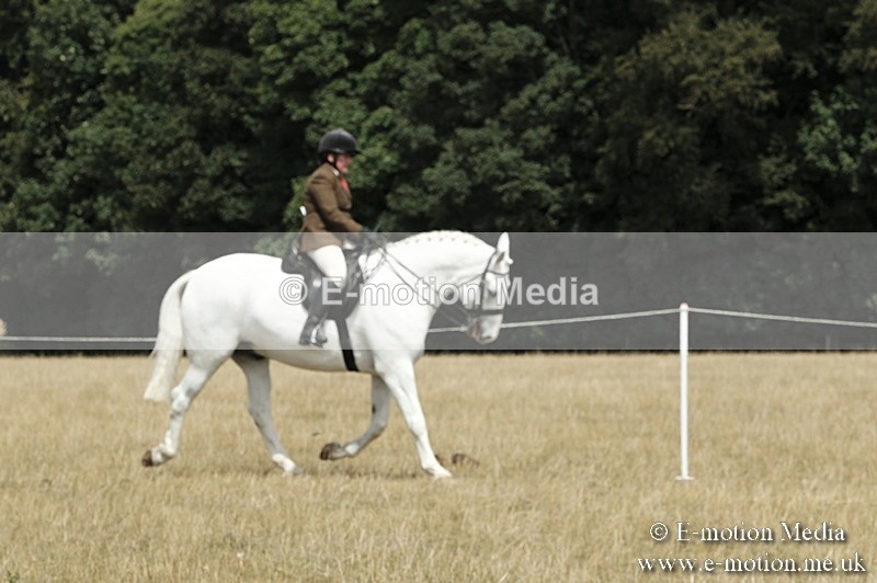 _PJP6006 - BVRC Show 2018 Ring 1