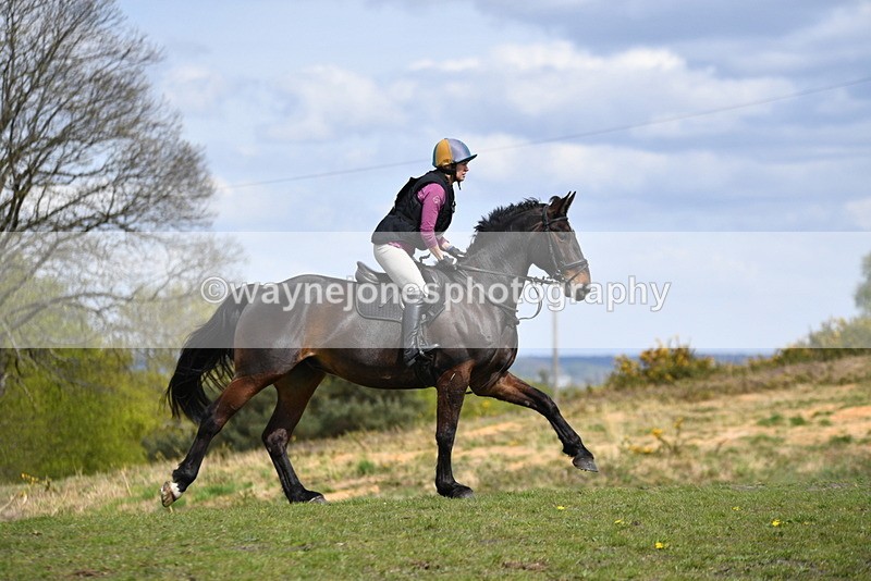 WJ5_2780 - Time 13:16 to 13:52