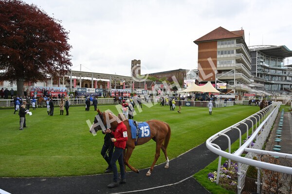 yr14052021r5-1 - Race 5 3.40pm The Jigsaw Sports Branding Handicap