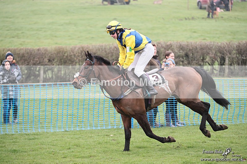 PR PtP 080326 286 - Guilsborough Pony Races 08/03/26