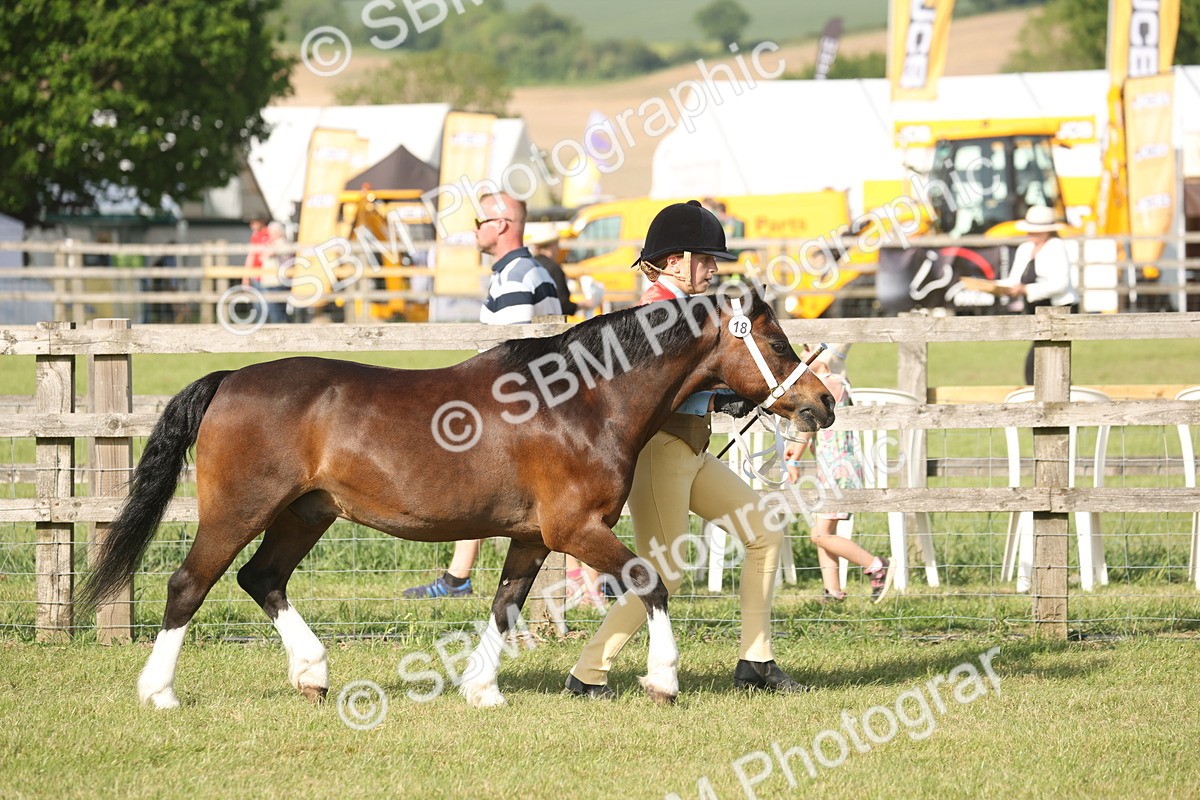 SBM_10306 - Class 33-38 - SSADL RIHS Qualifiers