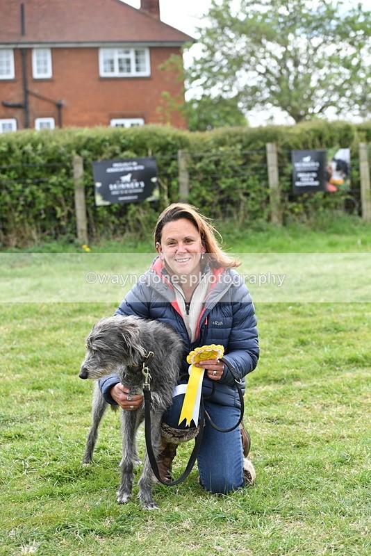 WJ5_9407 - Class 1 Best Cross Breed / Heniz 57