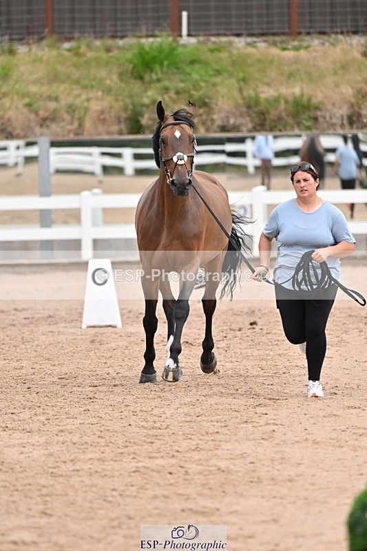 250716-135752-00817 - Trot Up 1.30 to 2.30