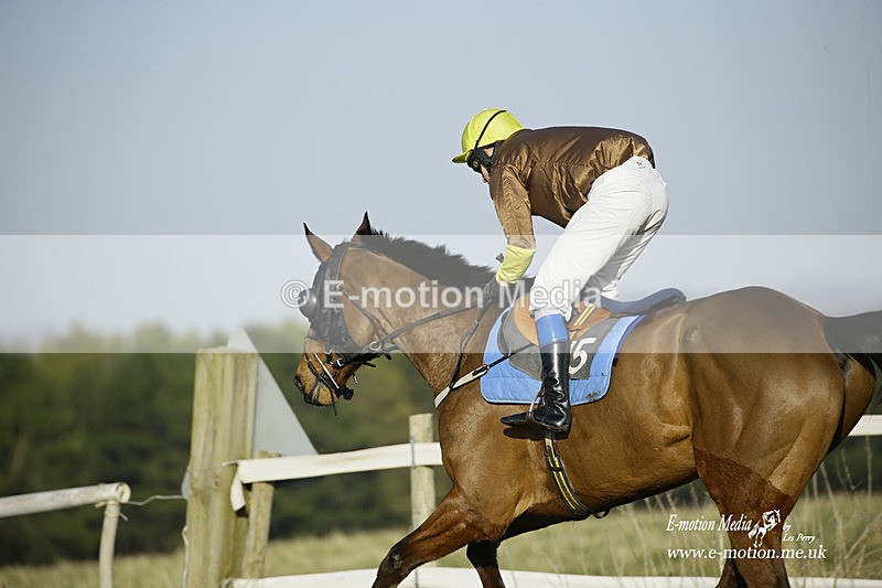 PtP 270222 495 - South & West Wilts Point-to-Point Larkhill 27/02/22