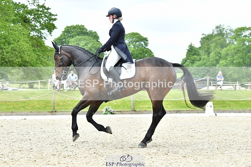 230525-124441-04262 - 209-MONBEG_EBONY-Molly_Fletcher-WEDTrotUp+DR