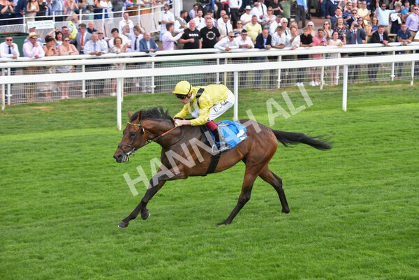 yr08072022r4-27 - Race 4 3.50pm William Hill Pick Your Places Stakes