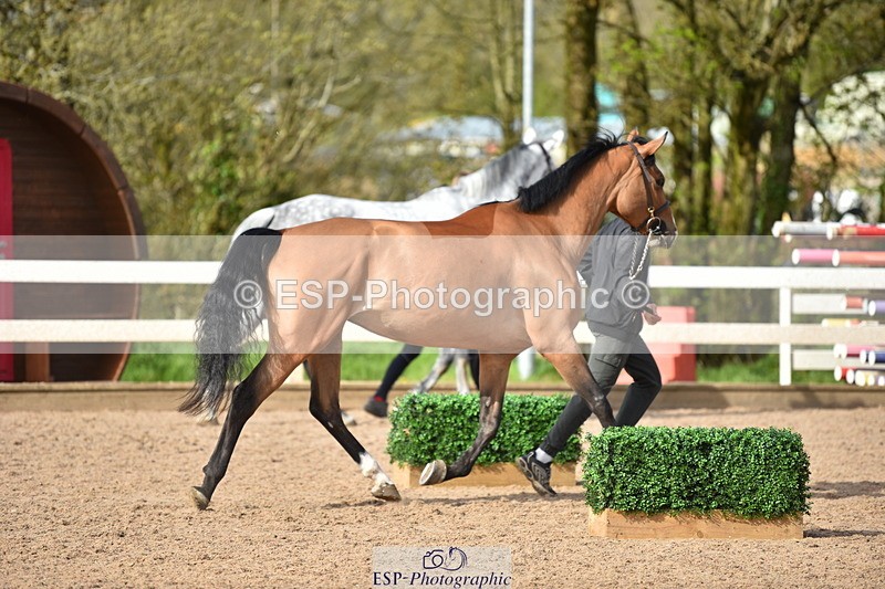 240417A-164424-01312 - 4pm to Finish