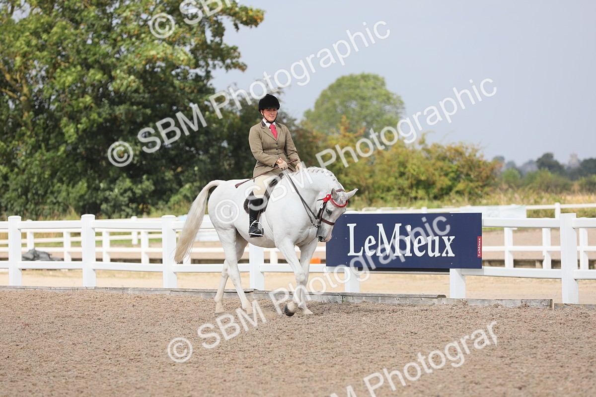 SBM_13325 - Class 308 Ridden Coloured Horse