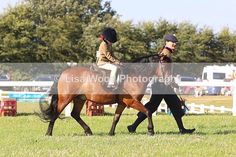 JPP_0917 - Class 16: Cornish Combination Leading Rein