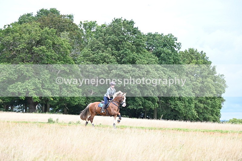 DSC_4572 - Time at Statue 09:50 to 11:09