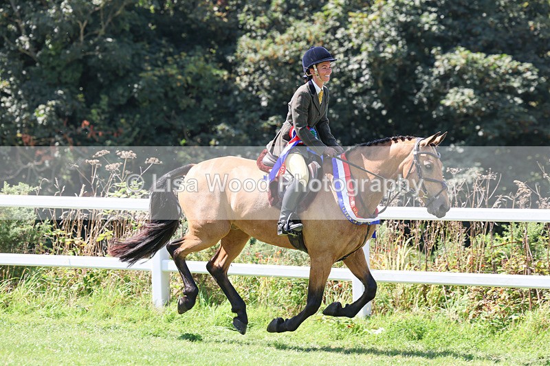 3E7A9345 - Working Hunter Championship