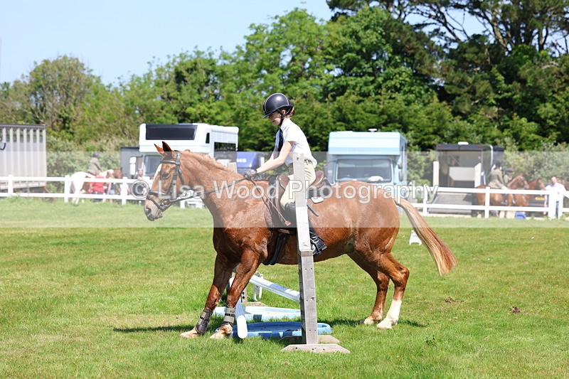 3E7A7118 - Class 30: Novice Working Hunter