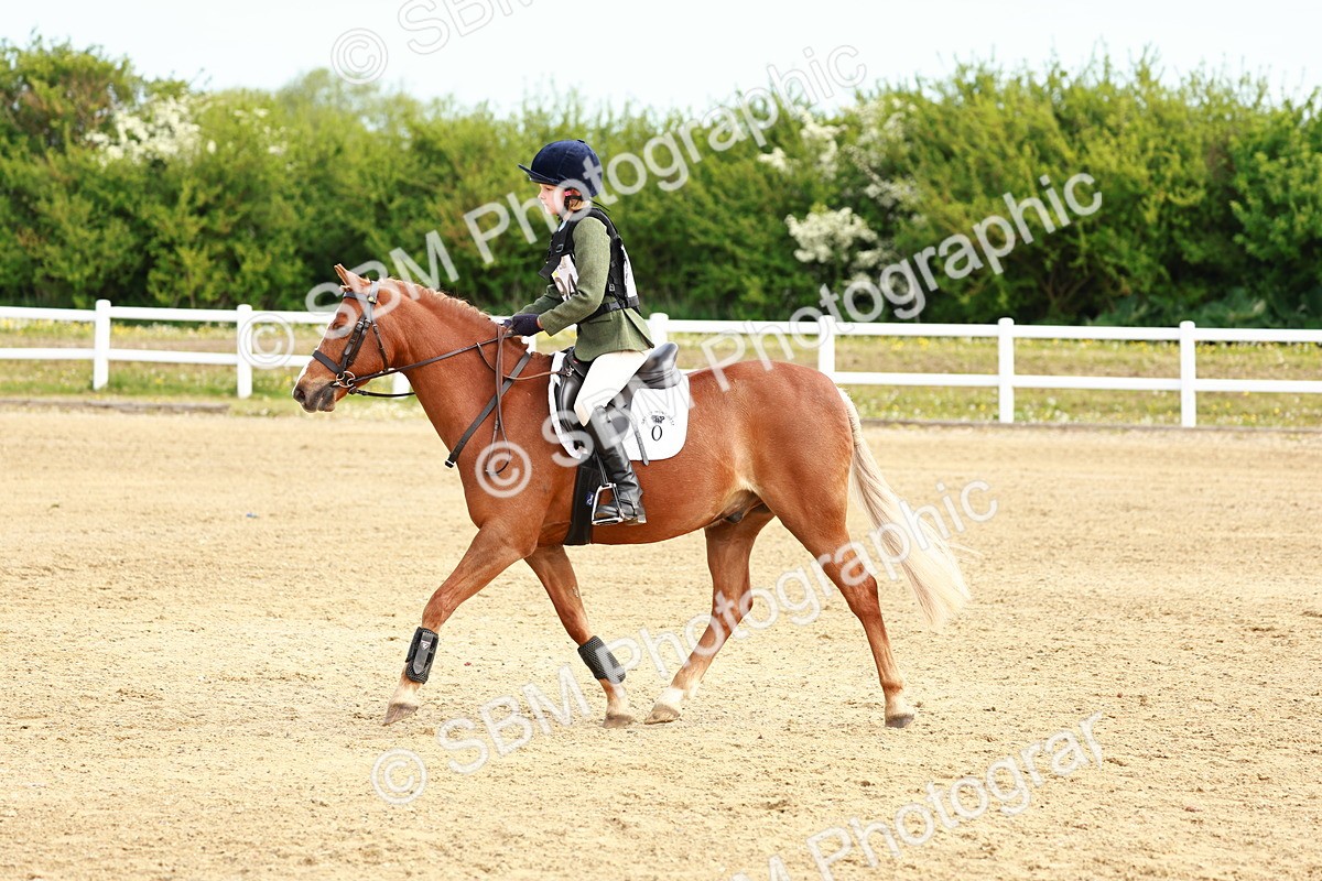 SBM_006544 - Class 1 - 40cm